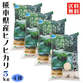 令和7年産 熊本県産 ヒノヒカリ 精米 5kg×4袋 20kg JA たまな 南関郷 せせらぎ米 産地直送 JA直送 熊本のお米 玉名 三加和 南関 菊水