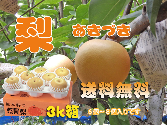 楽天市場 荒尾梨 あきづき を送料無料でお届け致します 九州 熊本県荒尾産です 送料無料 ｉきらめきたまな