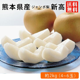 熊本県産 ジャンボ 梨「新高」化粧箱（約3kg） 荒尾梨 贈答用
