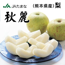 【8/26最終出荷】熊本県産 梨 秋麗（しゅうれい）5kg （14玉前後） 九州 荒尾梨 贈答用 梨 フルーツギフト レア品種