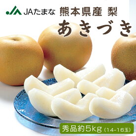 JA直送 熊本県産 梨 あきづき 5kg（14～16玉入り） 和梨 贈答 甘い梨