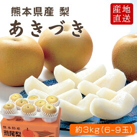 熊本県産 荒尾梨 あきづき 3kg（6～8玉入り） 梨 贈答