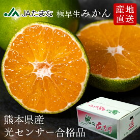 【産地JA直送】 熊本県産 極早生みかん「肥のあかり」 約5kg 玉名 天水みかん 蜜柑 贈答 小玉 秀品 赤秀 JAたまな 農協