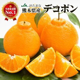 【産地JA直送】熊本県産 デコポン JAたまな 産地直送 糖度13度以上 秀品 贈答用 1箱 3kg 5kg 九州 不知火 デコ みかん 高級みかん 玉名 農協 果実連 熊本みかん フルーツギフト 熨斗 ホワイトデー 母の日 ギフト 送料無料