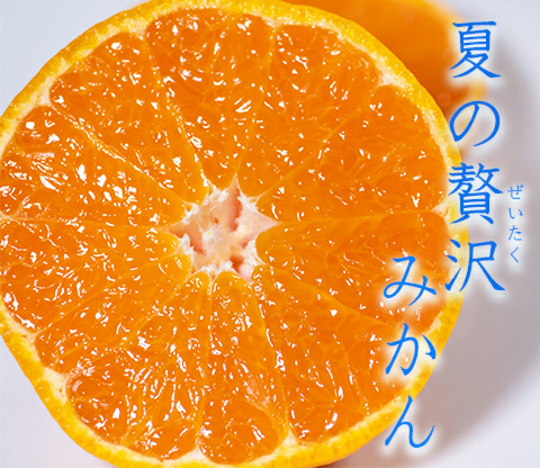 JAたまな 熊本県産ハウスみかん