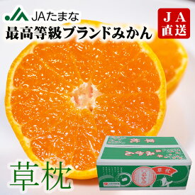 【ポイント3倍】JAたまな 熊本県産 特選ブランドみかん「草枕」4kg 甘い 濃い コクがある 農協 箱入り 贈答 お歳暮 糖度12度以上 高糖度 高コスパ みかん 玉名 天水 蜜柑 小玉 秀品 赤秀 青秀 箱入りみかん 訳あり 家庭用
