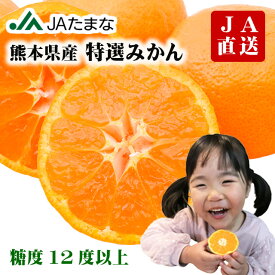 JAたまな 熊本県産 特選みかん 4kg 晩生 甘い 濃い コクがある JAたまな 農協 箱入り 贈答 お年賀 糖度12度以上 高糖度 高コスパ みかん 玉名 天水 蜜柑 小玉 秀品 赤秀 青秀 箱入りみかん 訳あり 家庭用 草枕