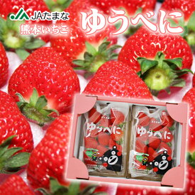JA直送 熊本県産 いちご「ゆうべに」 熊紅 大粒苺 2パック くまモン パッケージ JAたまな 産地直送 玉名 天水 横島 いちごマラソン エイド 三津家 ミツカバコ 母の日 誕生日 ギフト 贈答