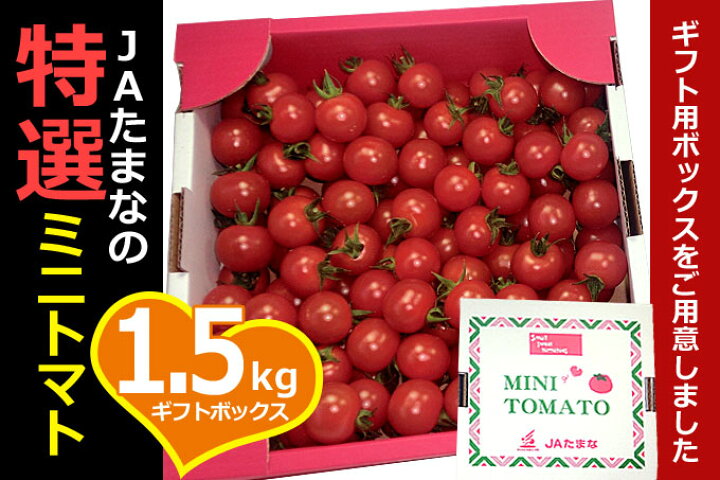 『ミニトマト・ギフト箱1.5kg』全国最大級の生産地・九州熊本・JAたまな厳選品☆【人気☆ギフトに最適】☆。 iきらめきたまな 宮崎県産『ミニトマト』