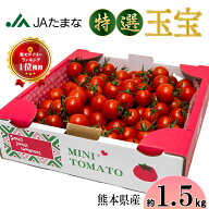 JA直送 特選 ミニトマト 1.5kg 熊本県産 JAたまな 産地直送 新鮮 甘い トマト 送料無料 家庭用 野菜 お取…