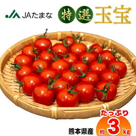 【JA直送】 特選ミニトマト玉宝3kg 箱売り 産地直送 業務用 飲食店向 シェア おすそ分け プチ トマト お弁当の彩り ヘルシーおやつ フルーツ のように 甘い 高リコピン 美容 1kg 1.5kg 贈答 ギフト ドライトマト
