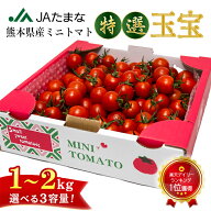 【6/15で今季終売】JA直送 特選 ミニトマト 1kg 1.5kg 2kg 熊本県産 JAたまな 産地直送 新鮮 子供が喜ぶ …