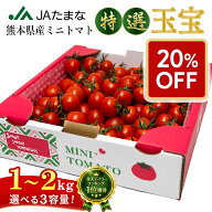 ★6/11まで!! 赤字覚悟★ 特選 ミニトマト 1kg 1.5kg 2kg 熊本県産 JAたまな 産地直送 新鮮 子供が喜ぶ …