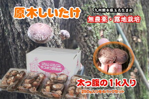 F{Y ؐ 1kg _ Hn͔|  ő ʖ a ǂ񂮂͔| ؒő p Yn JA  _ƒ