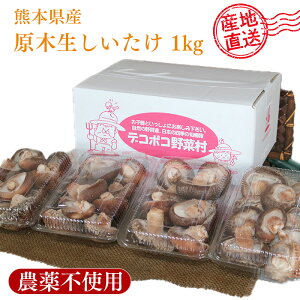 F{Y ؐ 1kg _ Hn͔|  ő ʖ a ǂ񂮂͔| ؒő p Yn JA  _ƒ