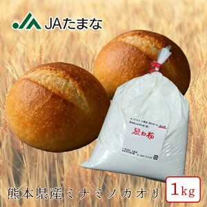 F{Y  ̂߂ 1kg TCY Y BY p ͕ pp ~i~mJI