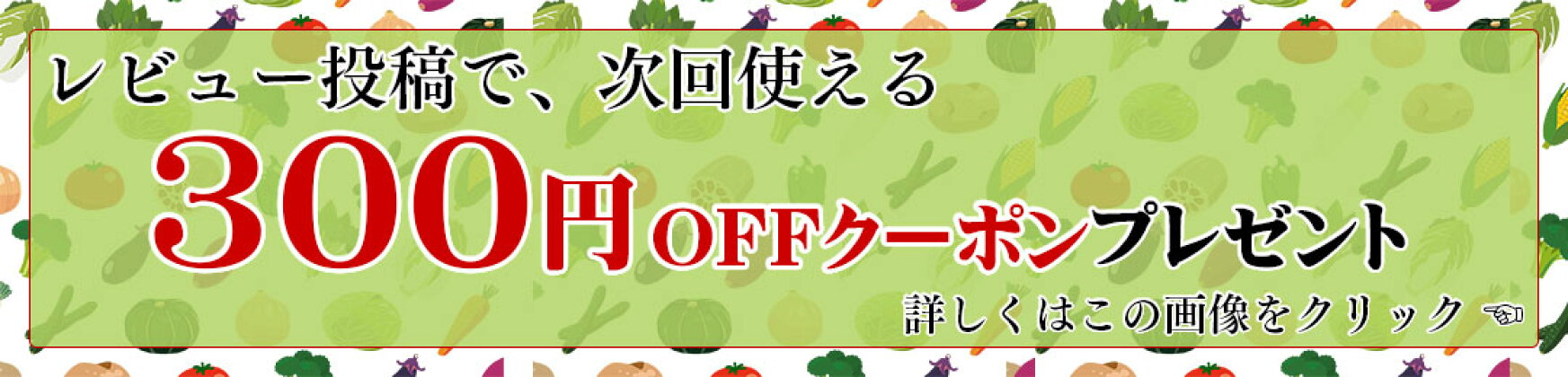 レビューで300円OFFクーポン