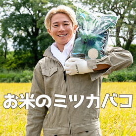 お米のミツカバコ【ランニング系 インフルエンサー 三津家貴也 氏と JAたまな のコラボ商品】 南関郷米 九州産 熊本 玉名 ヒノリカリ 5kg 新米