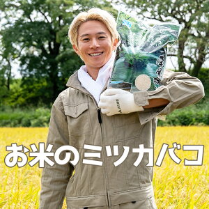 Ẵ~cJoRyjOn CtGT[ OÉƋM  JA܂ ̃R{iz ֋ BY F{ ʖ qmJ 5kg V