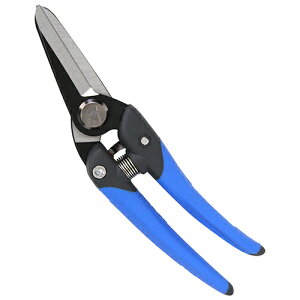 �d�H�͂��� �X�g���[�g DVC-DS195S