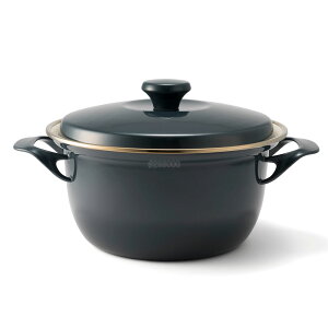 富士ホーロー EX キャセロール IH対応 20cm EX-20W・CH [ペインズ 