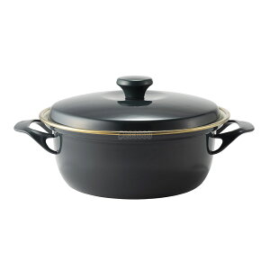 EX LZ[ IHΉ 22cm EX-22WECH [yCYO[]