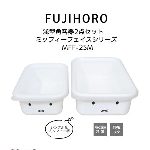  xmz[[ ~btB[tFCXV[Y ^pe2_Zbg MFF-2SM/Shallow Type Container 2 Piece Set HNM