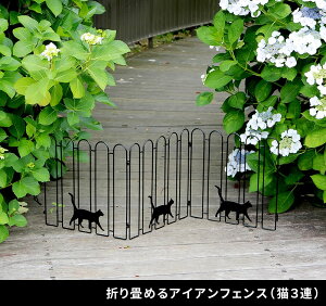 ܂߂ACAtFXiL3Aj ubN/zCg NK120