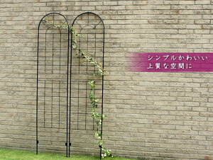 ACAtFX220(2g) YBIF-220-2P