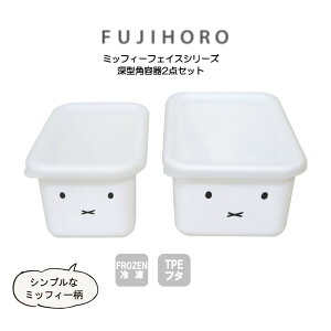  xmz[[ ~btB[tFCXV[Y [^pe2_Zbg MFF-2DSM/Deep Type Container Two Piece Set HNM