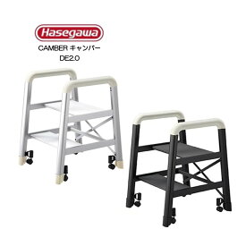 Hasegawa キャンバー CAMBER 2段 DE2.0-2 長谷川工業