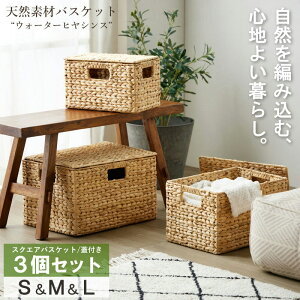 VRfރoXPbg EH[^[qVX XNGA3Zbg(ӂt) S/M/L IW-12 oXPbg [   [{bNX [ y e Lb` h[ ╍ iwatsuki