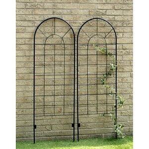 yI2l1lő300%|CgobNvGg[zACAtFX120(2g) YBIF-120-2P