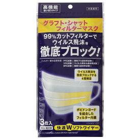 環境浄化研究所 グラフトシャットフィルターマスク 3枚入 10個セット