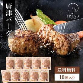 【唐津バーグ 10個】ハンバーグ ギフト 送料無料 唐津バーグ 唐津市 佐賀県唐津市 からつ いきや食品 冷凍 国産 惣菜 もらって嬉しい お歳暮 御歳暮 歳暮 年末年始 年の瀬 挨拶 ご挨拶 冬ギフト 年賀 お年賀 お正月