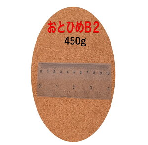 ۍg ƂЂB2 450g (0.36`0.62mm) ~()i 500gKiύX