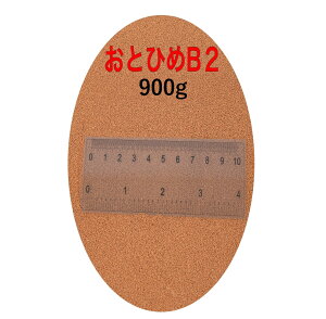 ۍg ƂЂB2 900g (450g×2) (0.36`0.62mm) ~()i 1kgKiύX