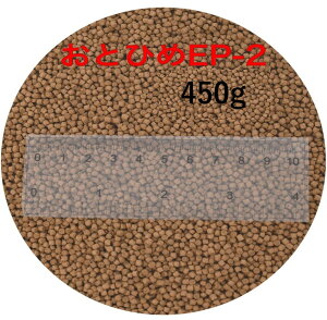 ۍg ƂЂEP2 450g (1.9`2.0mm) ~()450gi  a 500gKiύX