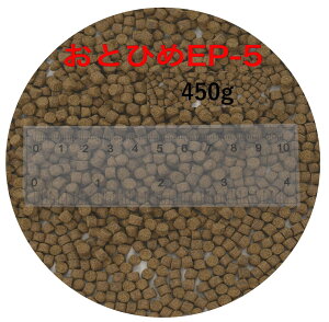 ۍg ƂЂEP5 450g (5.1`4.3mm) ~() i  a 500gKiύX