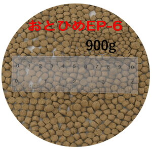 ۍg ƂЂEP6 900g (450g×2) (5.4mm`6.4mm) i  a 1kgKiύX