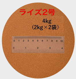ライズ2号 2kg×2袋(4kg) 粒径約0.36mm 日清丸紅飼料 メダカ メダカの餌 金魚 金魚の餌 熱帯魚 熱帯魚の餌
