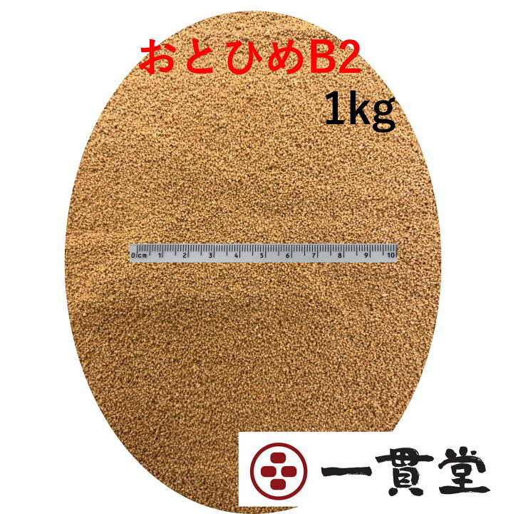 楽天市場 おとひめb2 0 36 0 62mm 1kg 500g 2袋 日清丸紅飼料 メダカ メダカの餌 金魚 金魚の餌 熱帯魚 熱帯魚の餌 おとひめ 一貫堂 大阪 楽天市場店