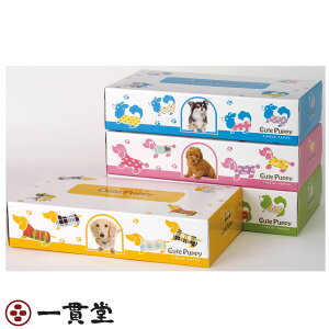 �{�b�N�X�e�B�b�V��150W CutePuppy�G�R��150W 5P×12��(60��) 1�Z�b�g �c�q�Y�p���v
