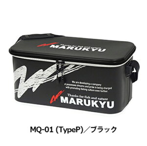 hCobO@MQ|01 (typeP)^PA|01(typeP)