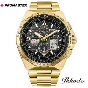 �G�R�E�h���C�u 50���N���胂�f�� SKYHAWK ���E����5,200�{ �V�`�Y�� CITIZEN �v���}�X�^�[ SKY �\�[���[ �G�R�E�h���C�u �d�g �X�e�����X�P�[�X 45.7mm �r���v JY8144-50E JY814450E