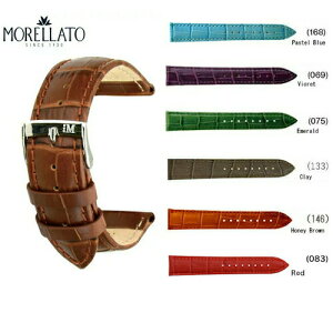 |Cg15{I[g MORELLATOvxg J[tvxg Bollei{[jX2269 480 lR|XI