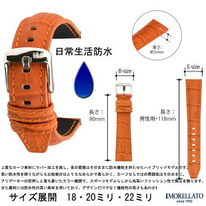 |Cg15{I [gMORELLATOvxg o[J[tXgbv SocceriTbJ[j x4497b44 lR|XI