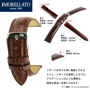 |Cg15{I [gMORELLATOvxg eWEU[hvxg VOLTERRA ({ej U 0856 041 }֑II