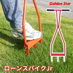 yGg[P5{zyŐ̃GA[VɁz[XpCNJr GA[V { Ő K[fjO Ő S[fX^[ Golden Star |  J #4011