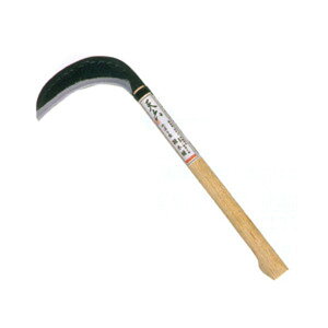 yGg[P5{z L{V  K[fjO H | _ _  S[fX^[ V^̂ ԕ |  G 抙  |pi _ GS #160274 V